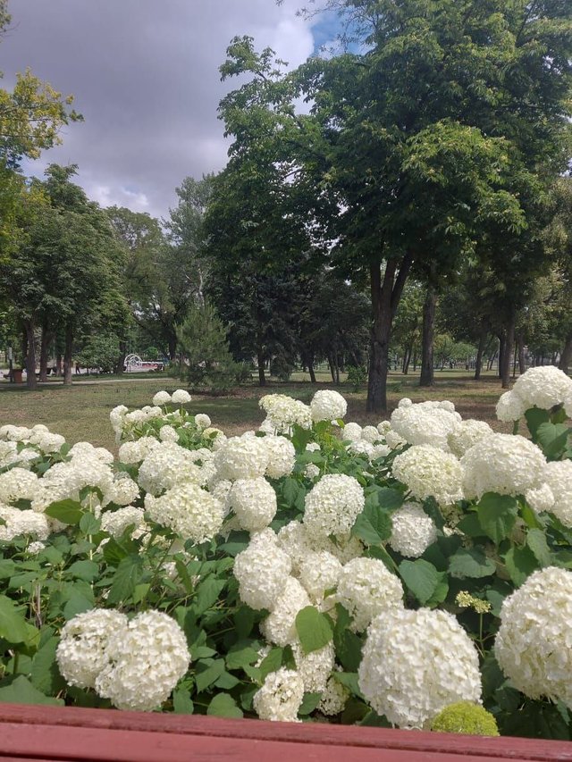IMG_20250717_083724_630.jpg