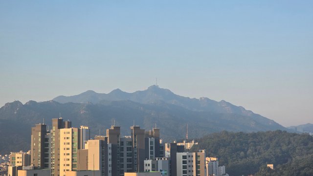 1000131644.jpg