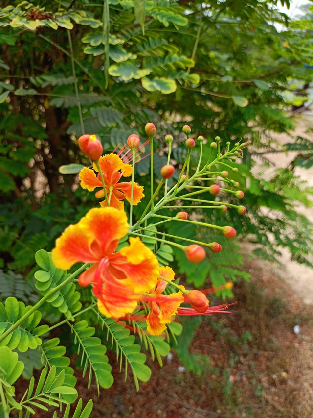 IMG20250404121954.jpg