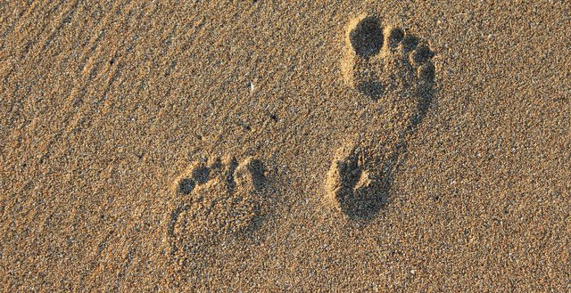 footprint-2353510_1920.jpg