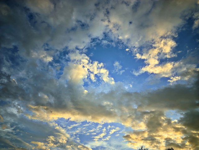 IMG_20250820_220207.jpg