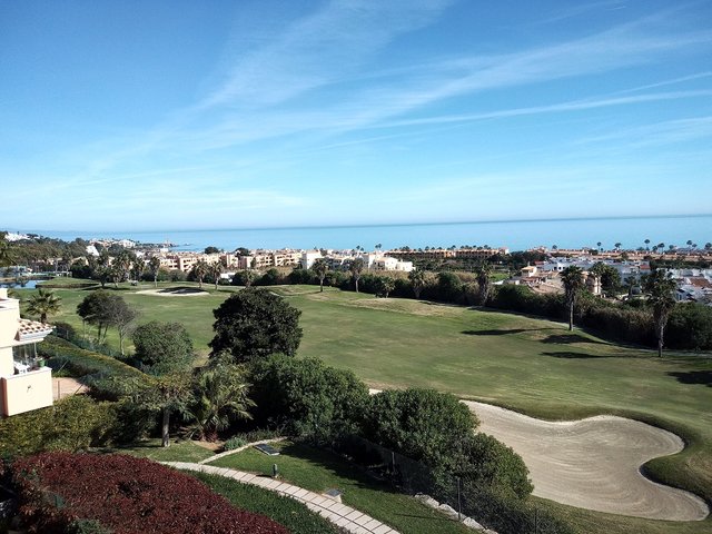 k-IMG_20210128_144758_1.jpg
