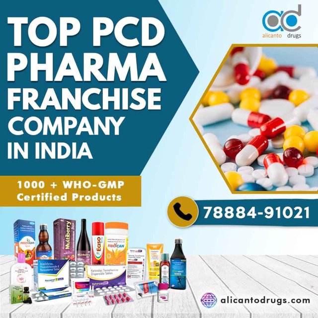 Top-PCD-Pharma-Franchise-Company-In-India-1-1024x1024.jpg