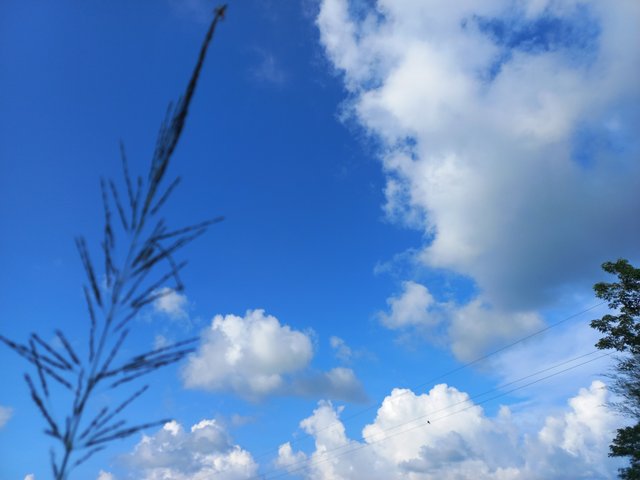 20231001_154525.jpg