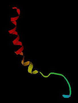 Neuropeptide_Y.png