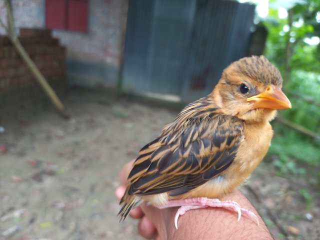 20250711_102550.jpg