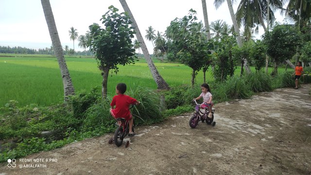 IMG_20250830_062220.jpg