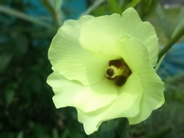 20250801_115117~2.jpg