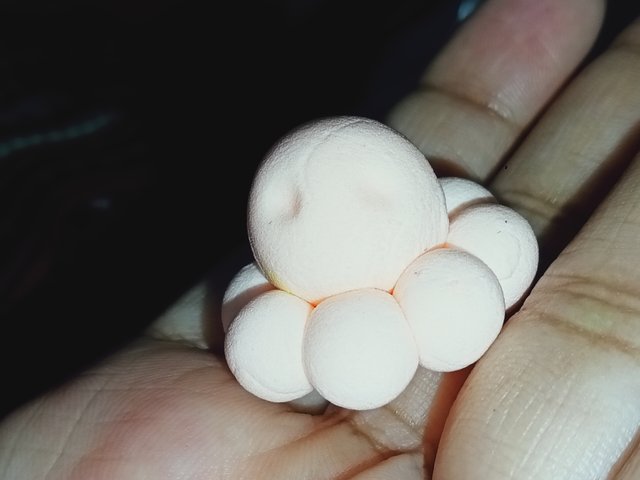 IMG20240511191604.jpg
