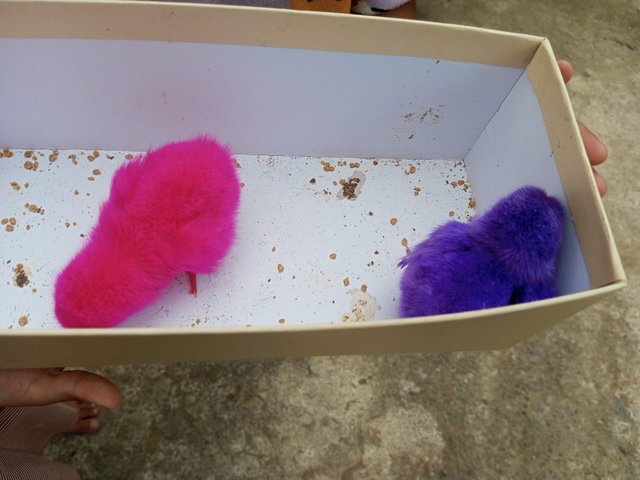 IMG-20250702110023.jpg