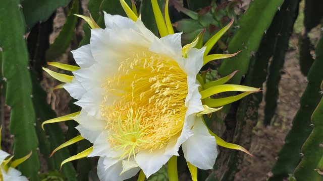 20240710_073547.jpg