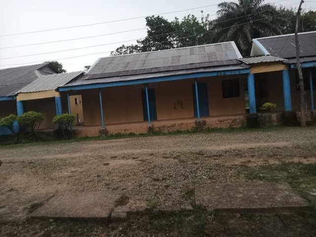 1000412368.jpg