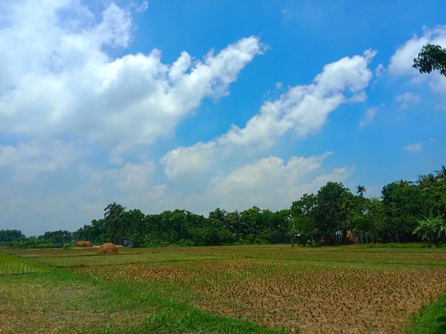 IMG_20250913_061909.jpg
