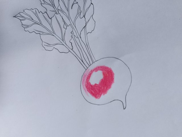 1000057764.jpg