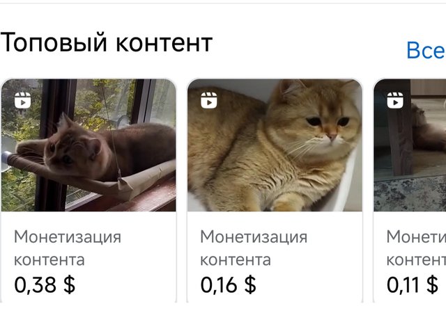1000002446.jpg