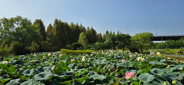 KakaoTalk_20240816_230018598_24.jpg