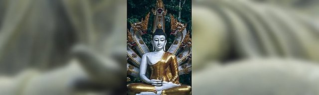 buddha-with-naag-large (1).jpg