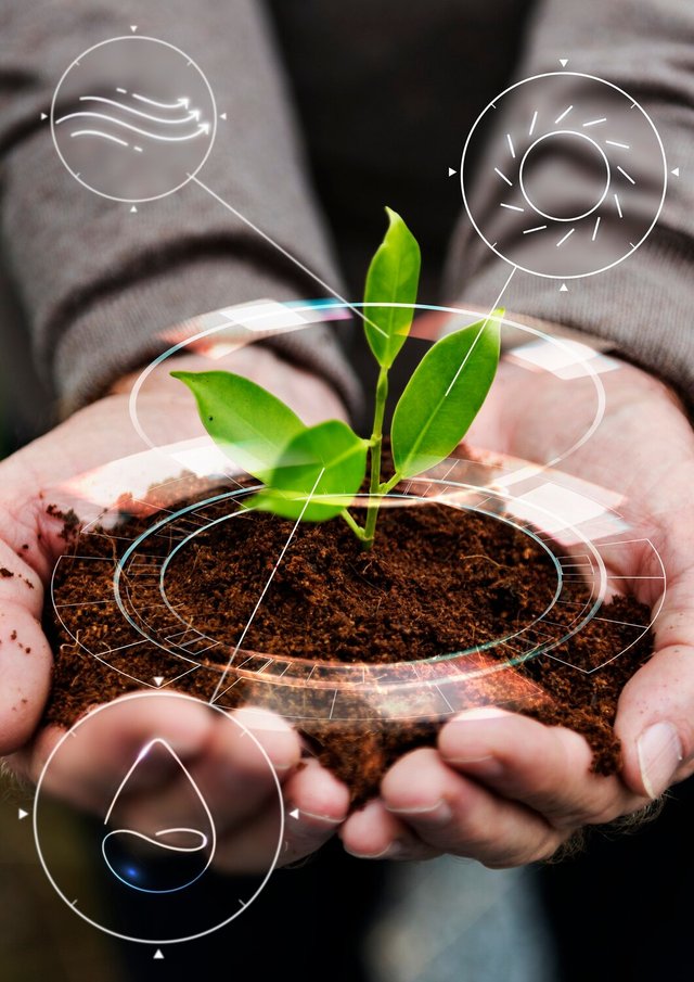 smart-agriculture-iot-with-hand-planting-tree-background_53876-124627.jpg