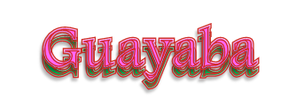 guayaba 1.png