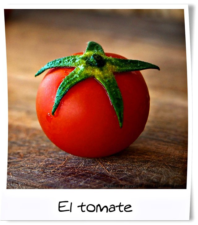 tomato spanish.jpg