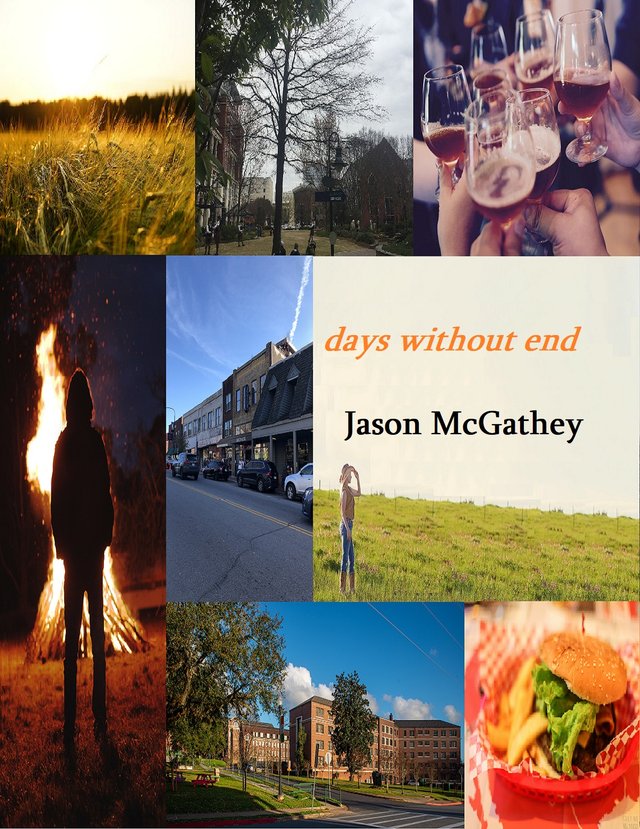 Days Without End paperback front.jpg