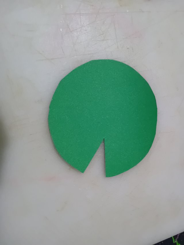 1000050994.jpg
