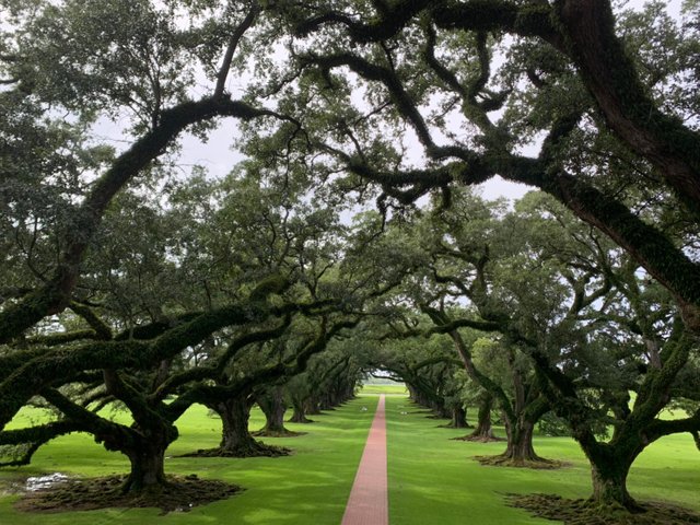 Whitney Plantation1.jpg