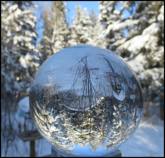 Snowy scene looking towards birdfeeder from deck reflected in crystal globe.JPG