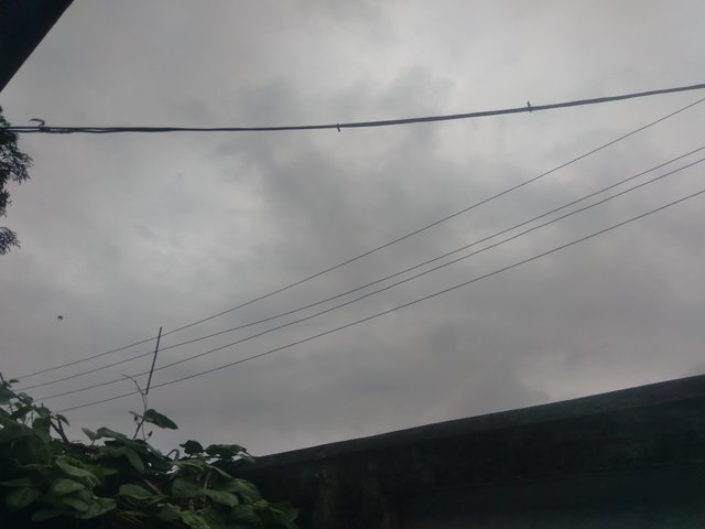 20250620_180315.jpg