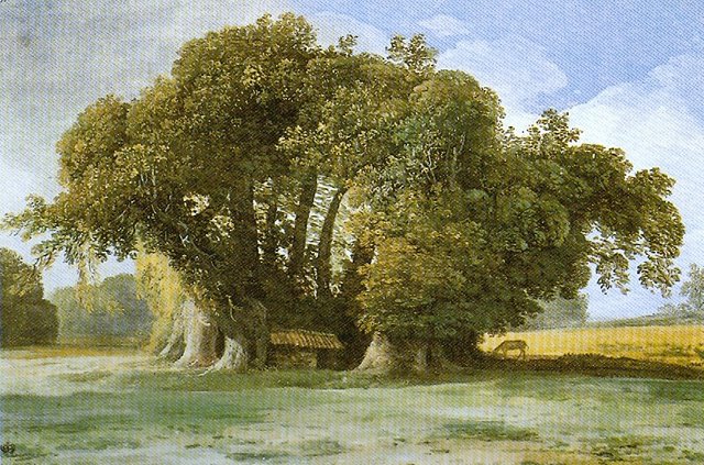 Castagno dei Cento Cavalli