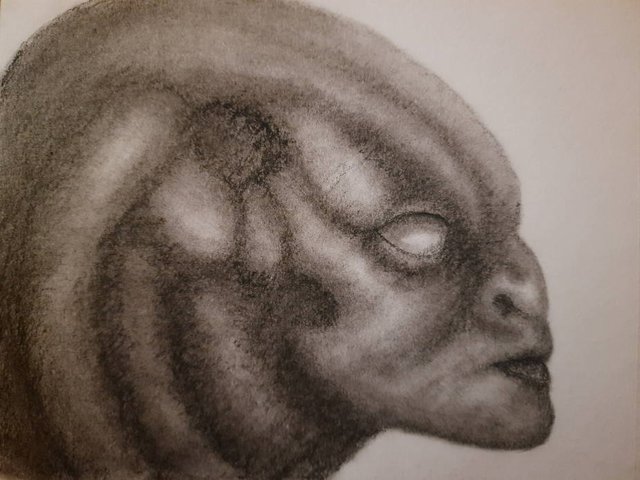 20250523_112108.jpg