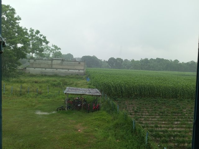 IMG_20250623_104400_794.jpg