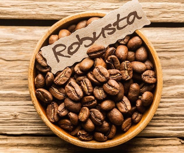 robusta_hat_87cc67f66bda4b27a04bfcea2cd67785.jpg