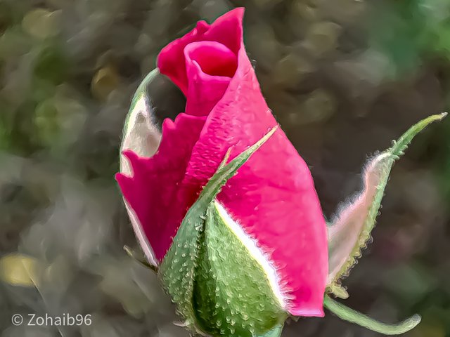 IMG_20220808_104843.jpg