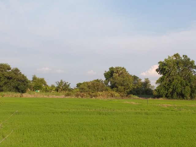 countryside view12.jpg