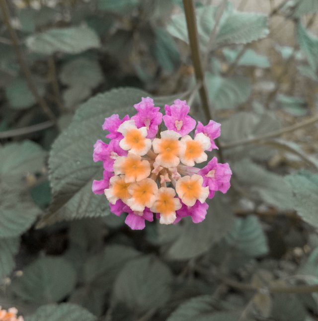 LRM_20220908_180449.jpg