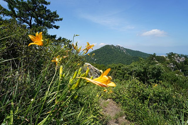 b-DSC08161.JPG