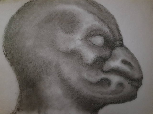 20250609_111649.jpg