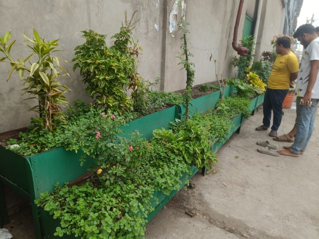 IMG20250519095350.jpg