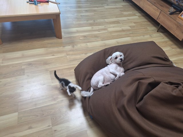 KakaoTalk_20250716_073517355.jpg