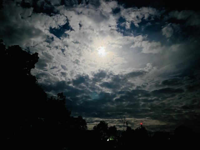 IMG_3965.jpeg
