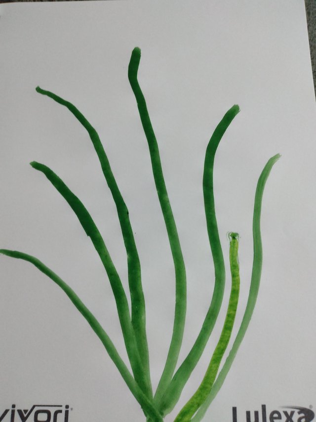 20250617_105808.jpg