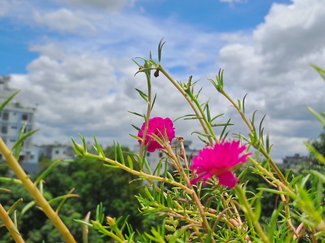 20250725_122323.jpg