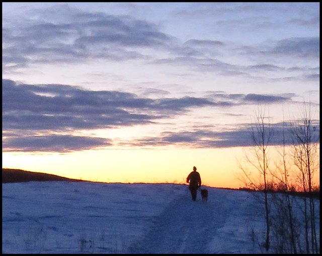 Don just coming to hil top siloquetted in the sunrise.JPG