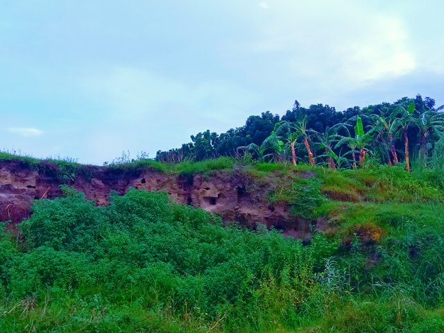 IMG_20250620_222345.jpg