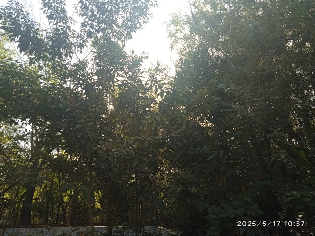 IMG_20250517_103746.jpg