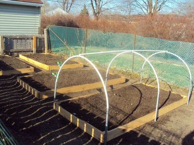 Raised-Bed-With-Short-Tunnel.jpg