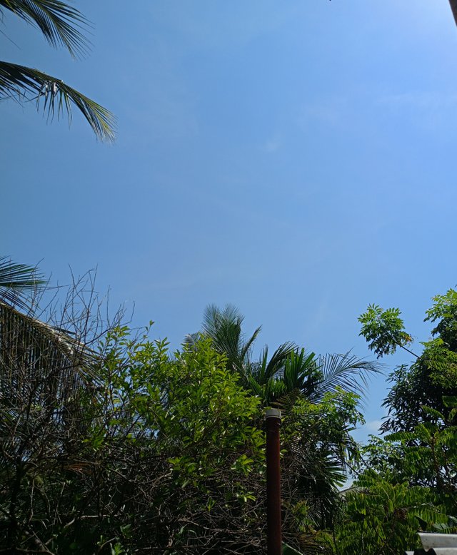 IMG_20250623_142006.jpg