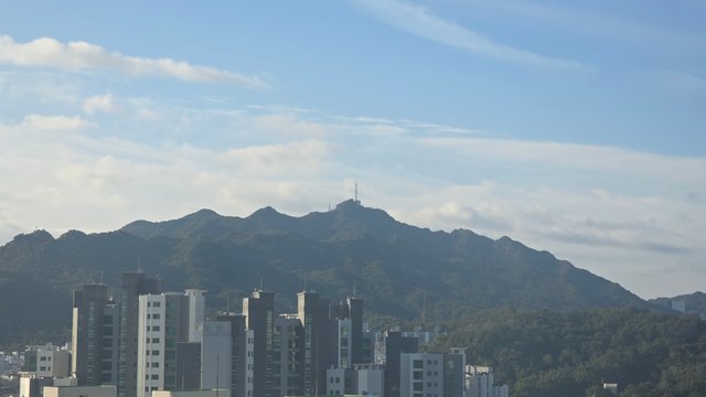 1000142753.jpg
