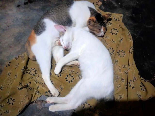 IMG20250617224033.jpg
